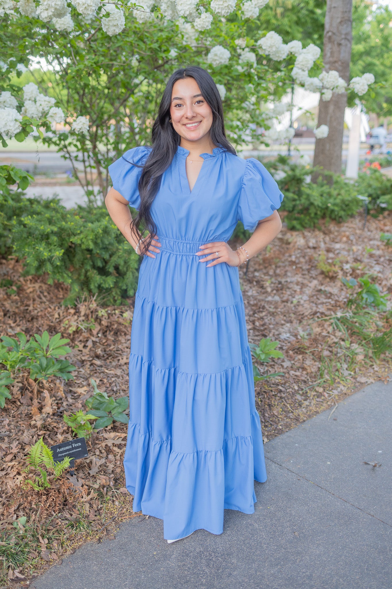 Danna Blue Maxi Dress