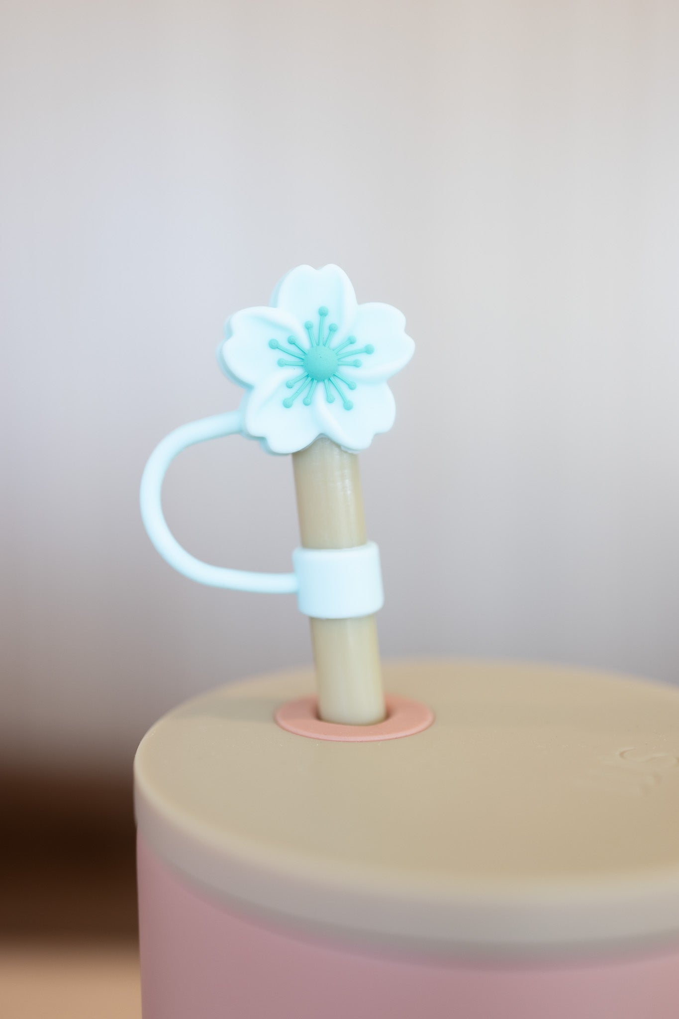 Cute Straw Covers