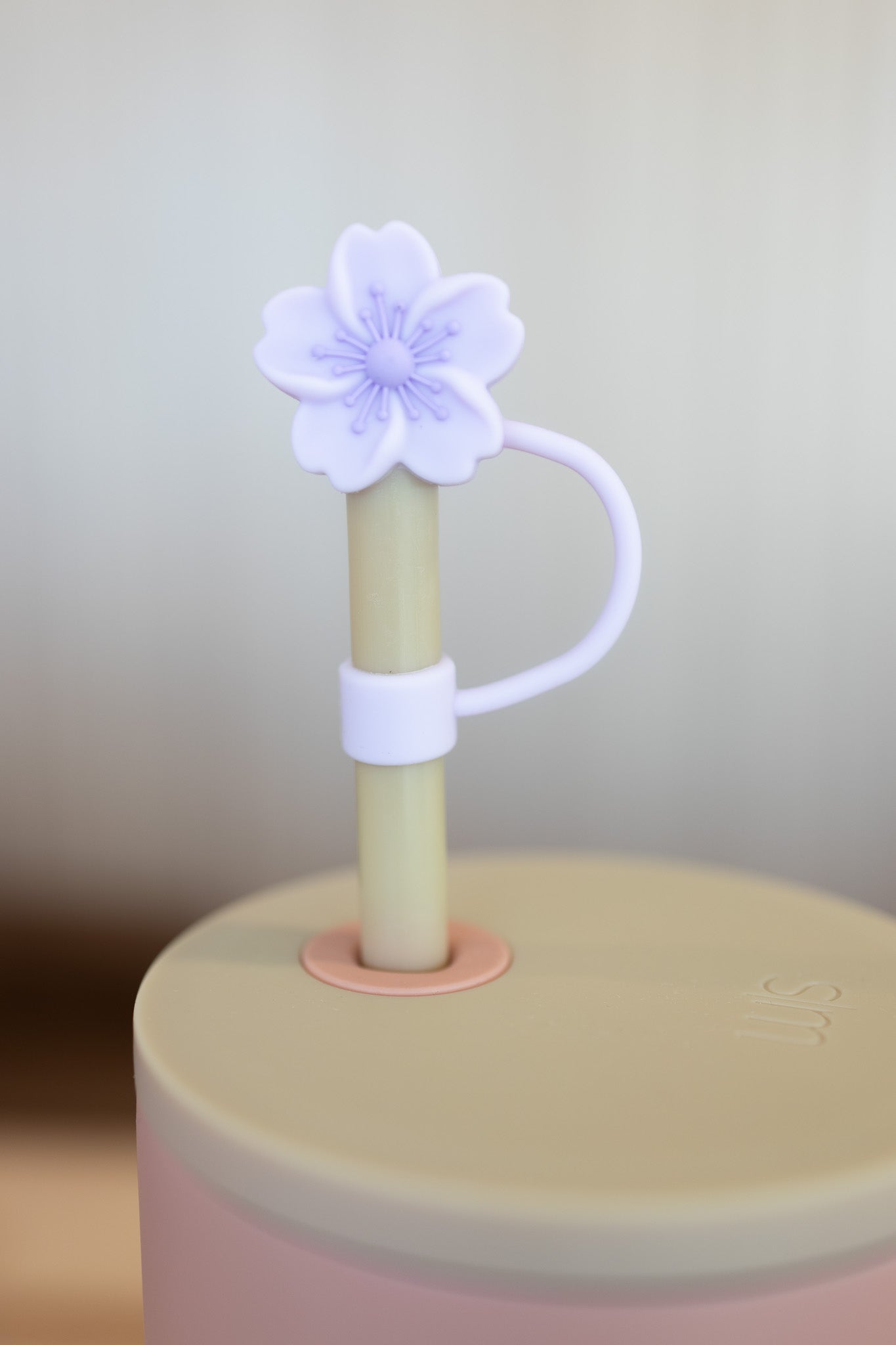 Cute Straw Covers
