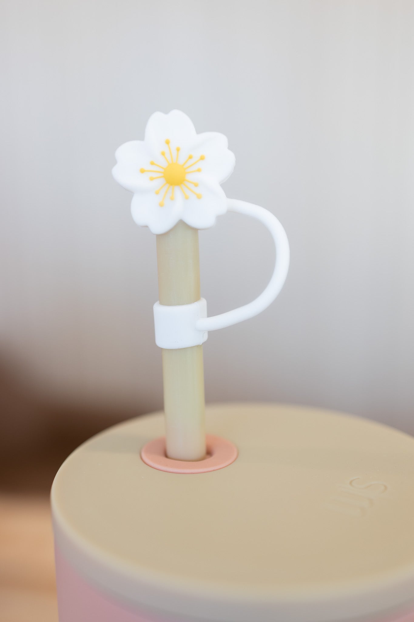Cute Straw Covers
