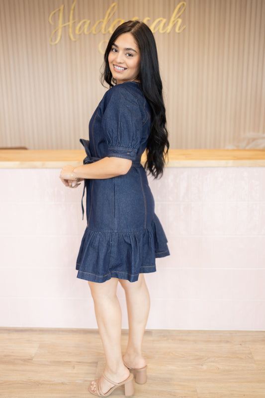 Ivy Denim Dress