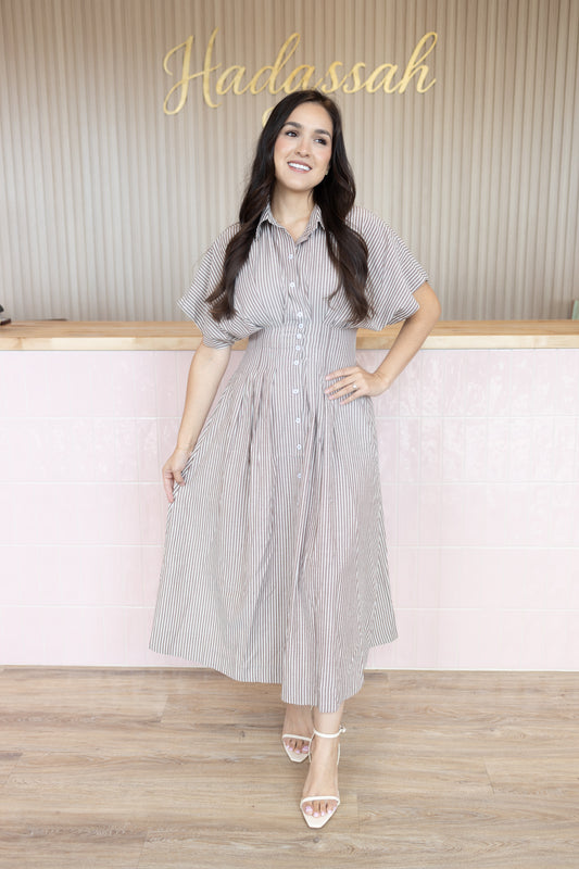 Evelyn Brown Stripe Dress