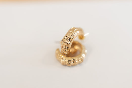 Cesi Earrings