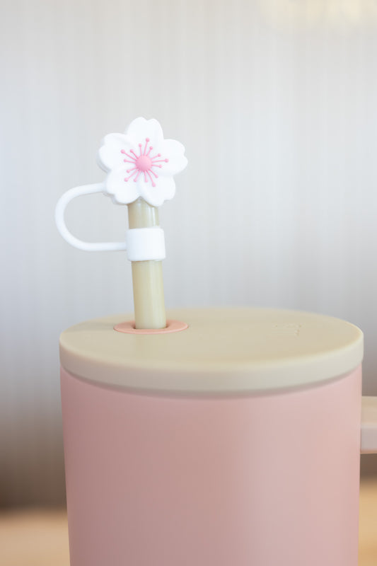 Cute Straw Covers