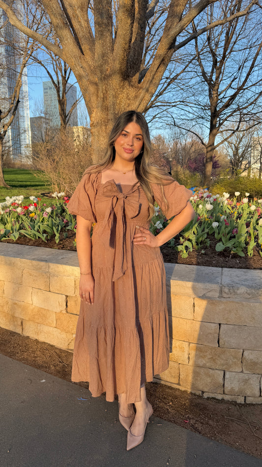 Mocha Dream Dress