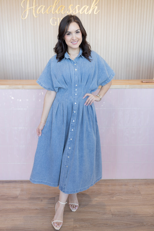 Amorette Denim Dress