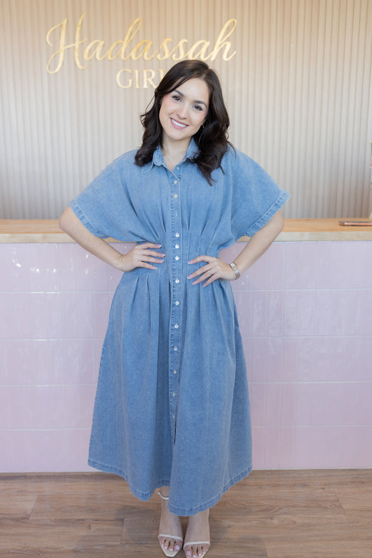 Amorette Denim Dress