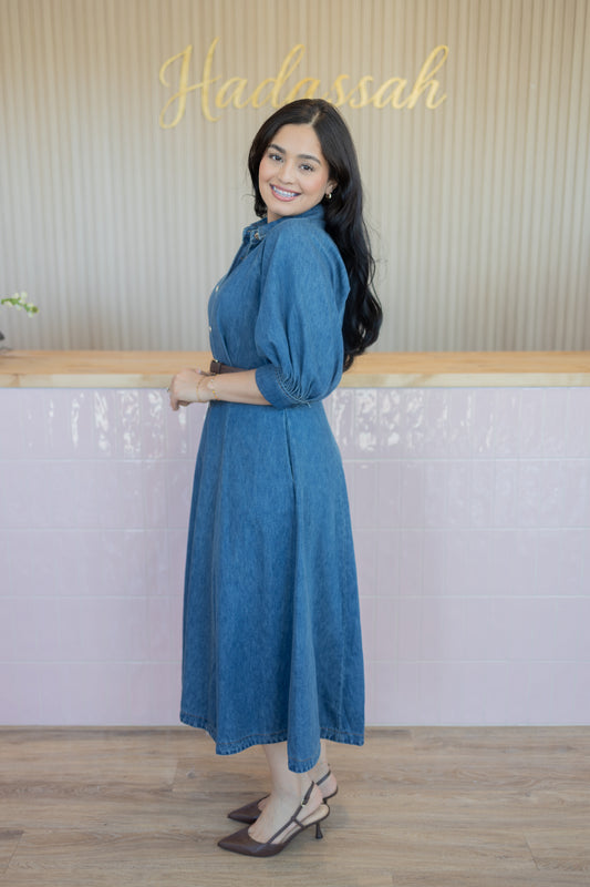 ANDY DENIM DRESS