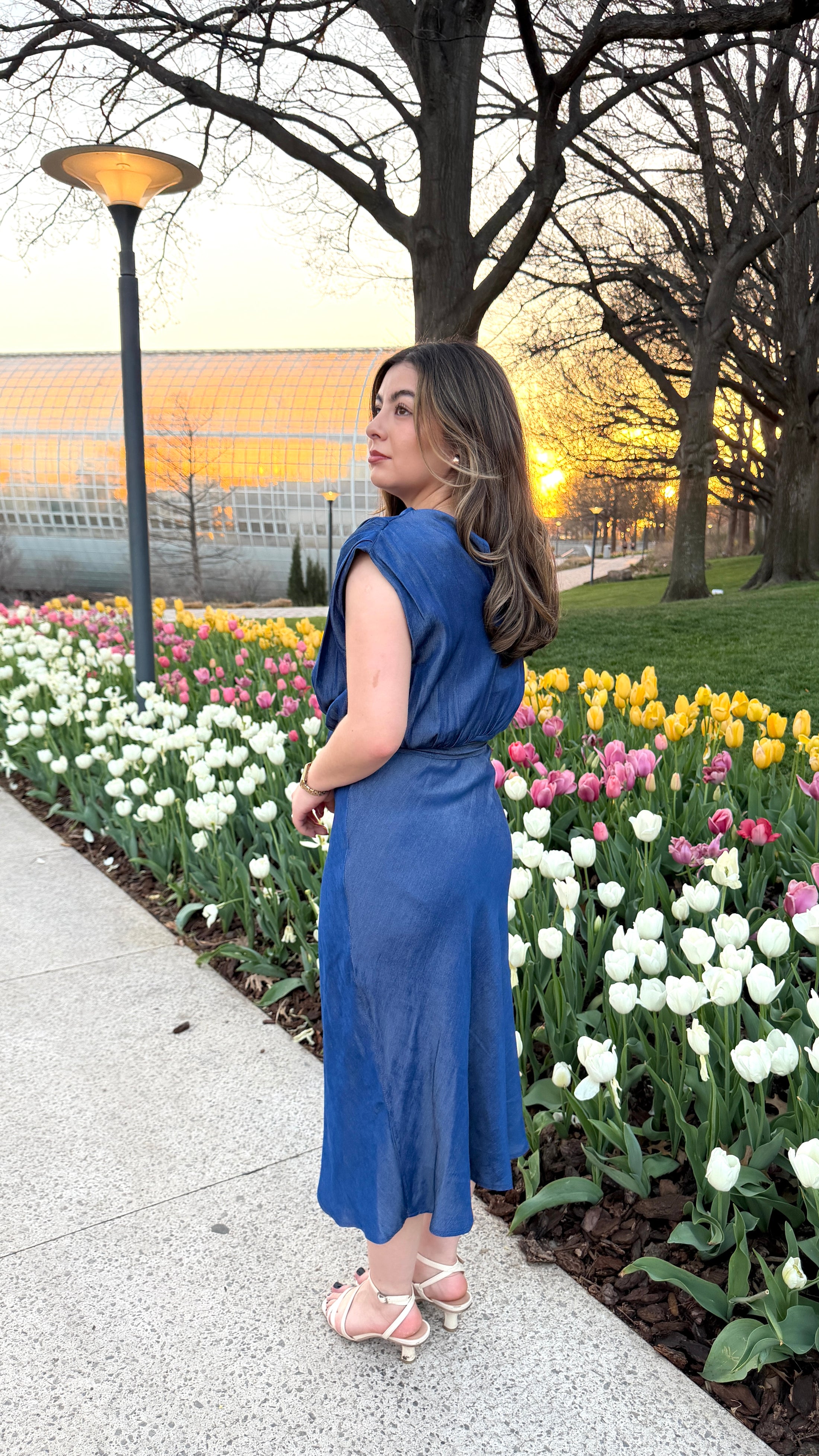 Amellia Blue Dress