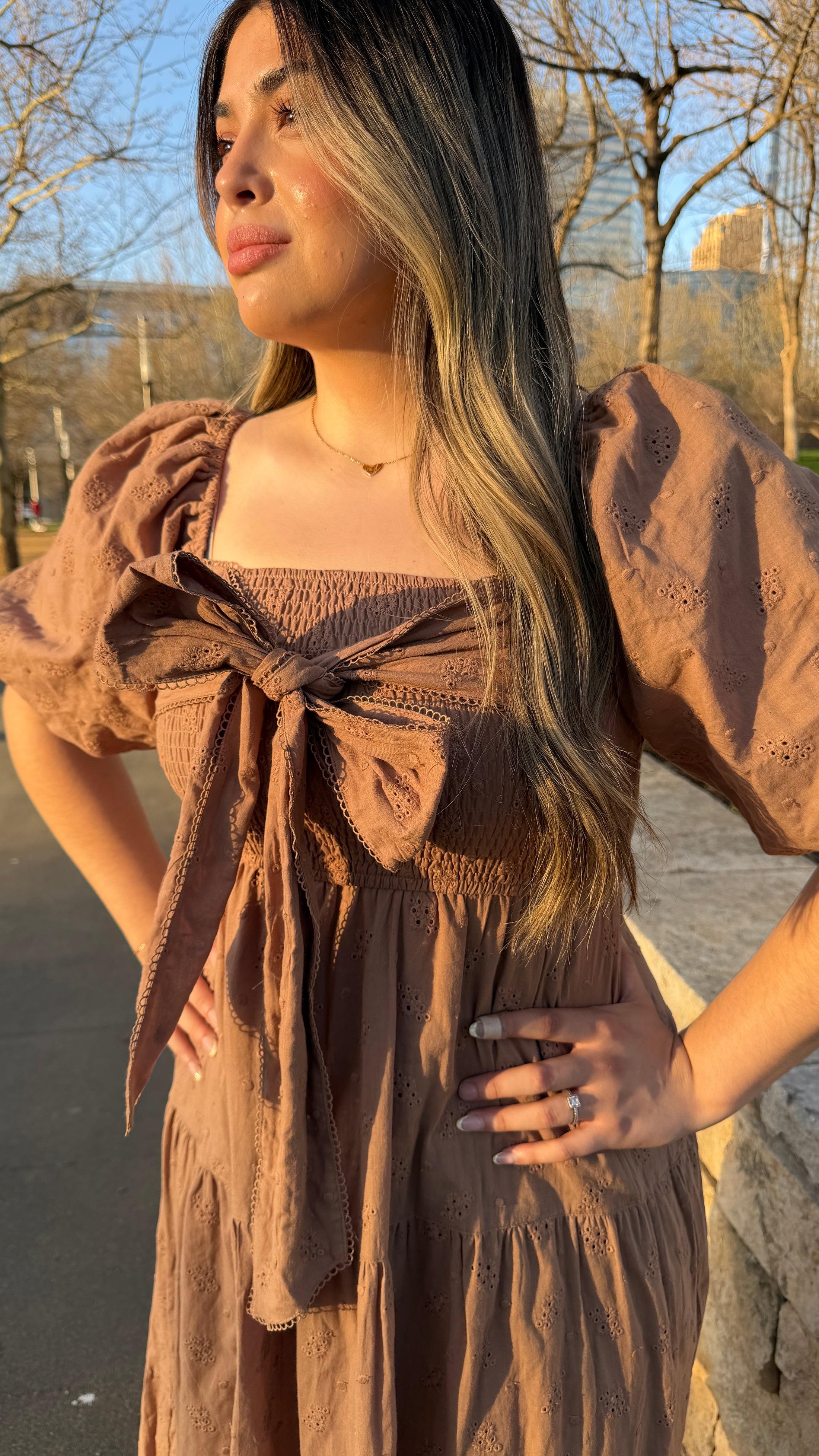 Mocha Dream Dress