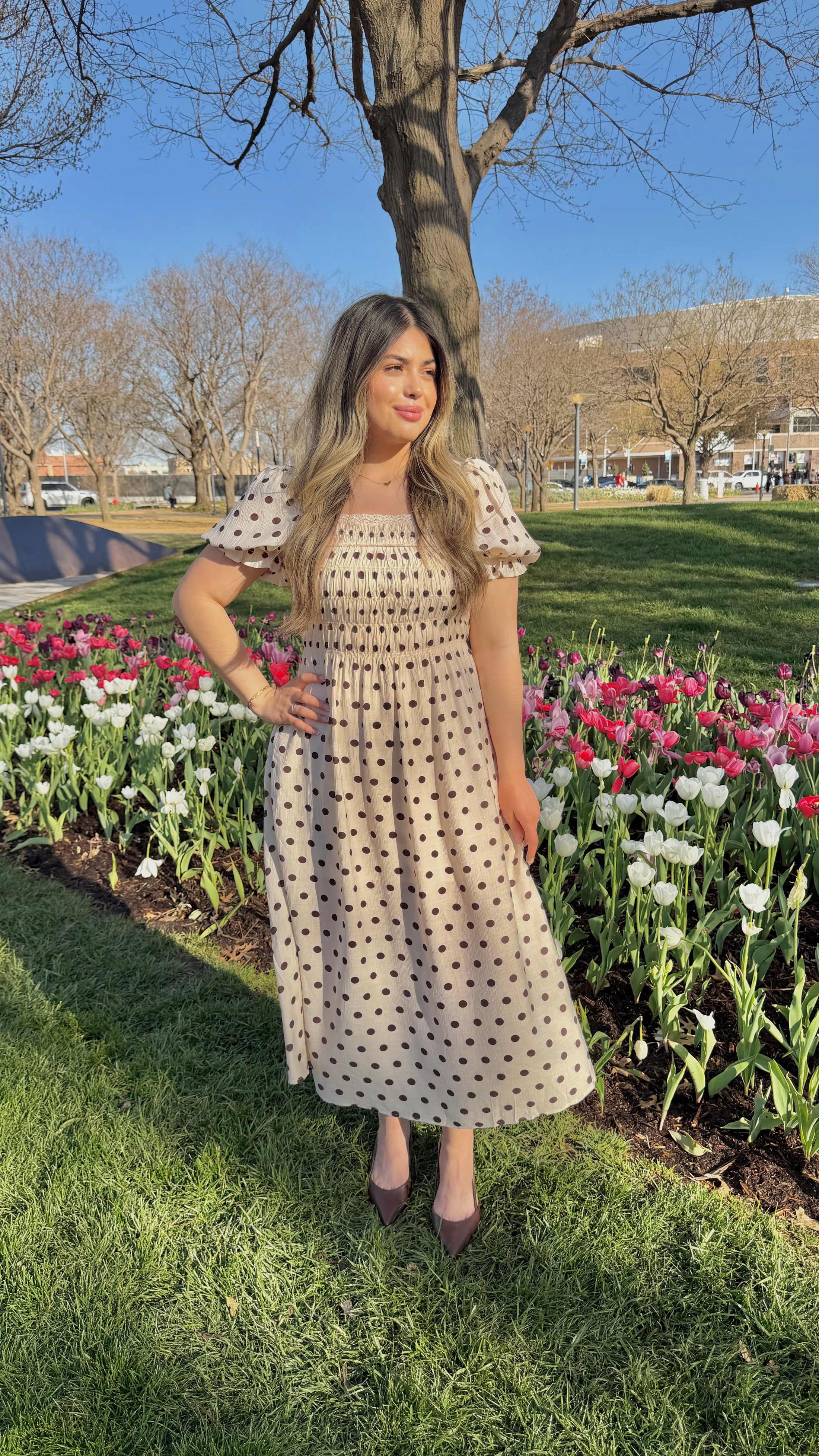 dotty delight brown dress