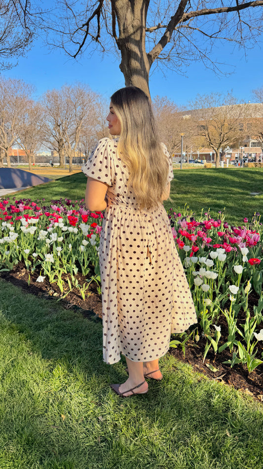 dotty delight brown dress