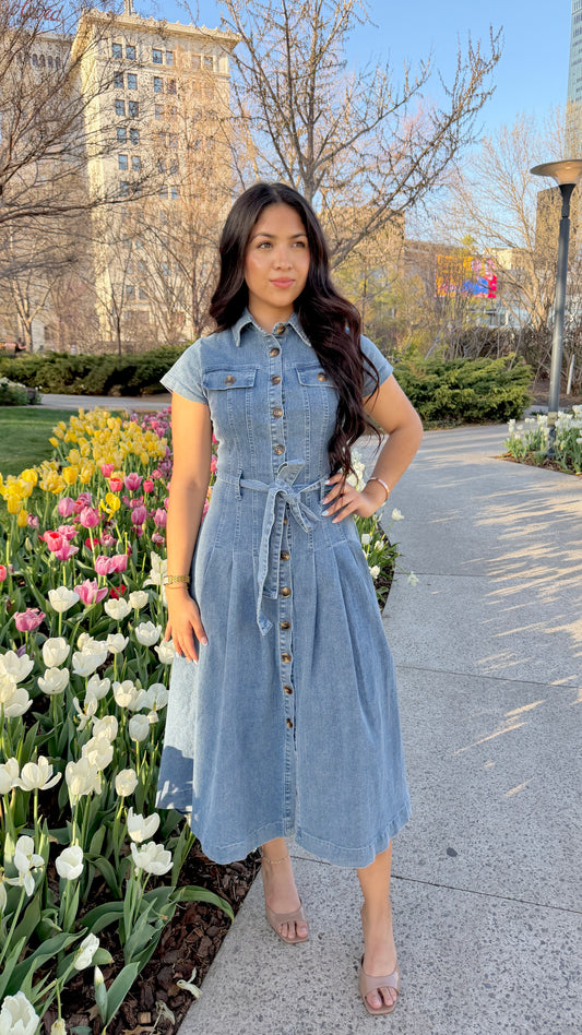 Cielo Bloom Denim Dress